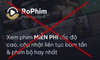 RỔ PHIM Đ&Oacute;NG CỬA